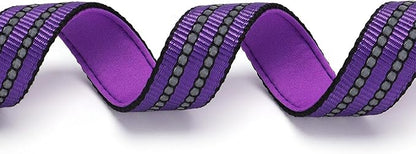 Martingale Collar with Chain，Stainless Steel Chain for Dogs, No Pull Slip Cinch Choker Choke Collar Training Escape Proof Heavy Duty Dog Collar for Small Medium Large Pet Boy Male Dogs，Purple M