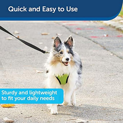 PetSafe Nylon Leash - Strong Dog Leash for Everyday Use - Secure & Simple Design for Reliable Control - Lightweight with Durable Hardware - 3/4 Inch - 6 Feet - Black