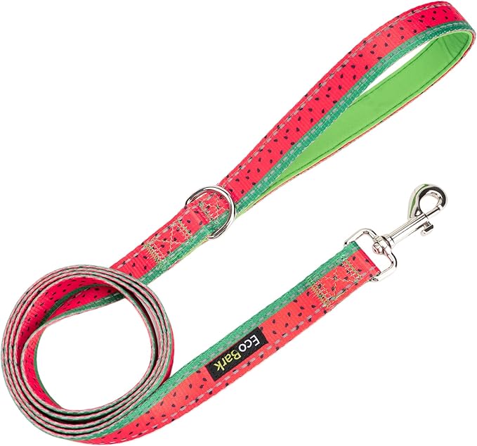 EcoBark Dog Leash - Soft & Reflective Comfort Leashes with Padded Handle - Safe, Strong, & Durable for Small, Medium or Large Dogs (Watermelon)