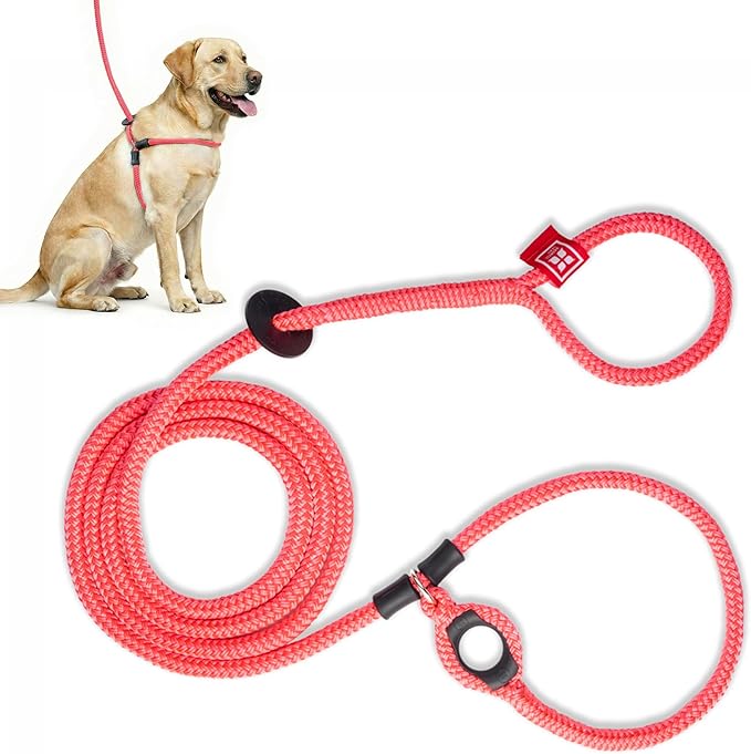 Harness Lead No Pull Dog Harness and Leash Set, Anti Pull Dog Harness for All Breeds and Sizes, One-Piece Cushioned Rope Design Safely Prevents Escaping and Pulling (Medium/Large, Pink)