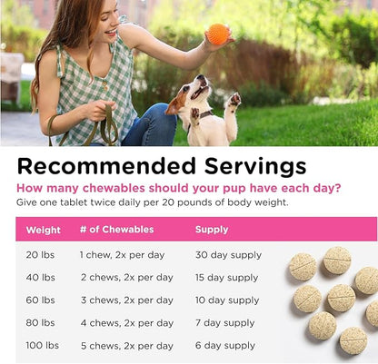 Nutri-Vet Allerg-Eze Chewables for Dogs, Antioxidants & Omega-3 Fatty Acids, Allergy Relief Supplement, Supports Skin, Coat & Respiratory Health, 60 Count
