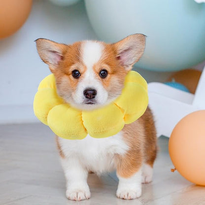 Soft Dog Cone Collar Inflatable Pet Recovery Calming Neck Pillow Adjustable After Surgery Collars Fluffy Flower Protective Elizabethan Alternative for Small Medium Cats Dogs