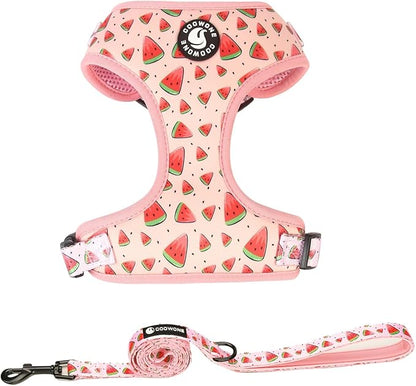 Coowone Dog Harness and Leash Set, Adjustable Puppy Harness and Soft Padded Dog Vest Clothes for Small Medium Large Dogs