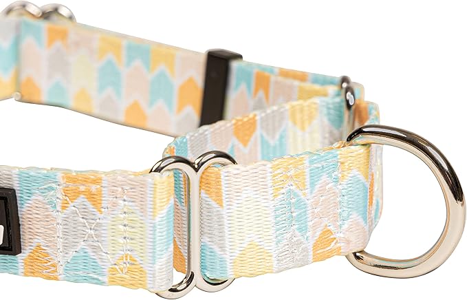 Downtown Pet Supply - Martingale Collar for Dogs - Dog Training Collar - Big, Wide & Thick Dog Collar - Escape-Proof, Weatherproof, Durable and Comfortable - Chevron - Large Dog Collar