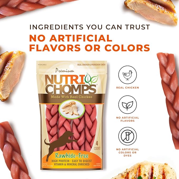 NutriChomps Dog Chews, 6-inch Braids, Easy to Digest, Rawhide-Free Dog Treats, Healthy, 4 Count, Real Chicken flavor