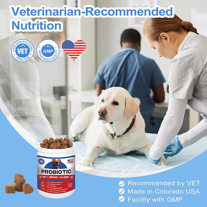 Probiotics for Dogs Gut Digestive Health Probiotic Chews for Dogs with 11 Billion CFUs, 4 Prebiotics, Pumpkin, Salmon Oil & Yogurt Base| Supports Gas, Yeast Balance & Immune, Dog Probiotics 200ct