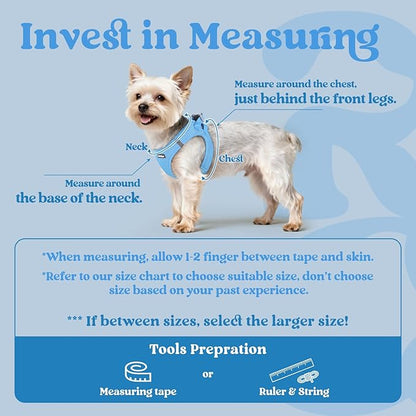 rabbitgoo Small Dog Harness, Step-in Soft Mesh Puppy Vest with Safety Buckle, Breathable Reflective Pet Harness for Large Dogs, Blue XXL