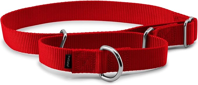 PetSafe Adjustable Martingale Collar - Only Tightens When Dogs Pull, Prevents Slipping Out - Helps with Strong Pullers, Increased Control - Alternative to Choke Collar - 1", Large, Red