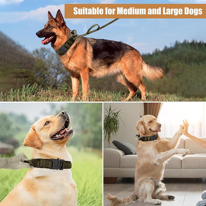 Tactical Dog Collar Leash Set, Adjustable Military Training Nylon Collar Dog Training with Control Handleand Metal Buckle, Dog Collar for Medium Large Dogs (Green,M)