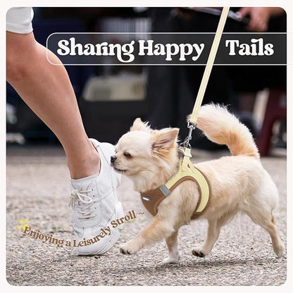 rabbitgoo Dog Harness Small Sized and Leash Set, Step in Soft Light Puppy Vest, Breathable Mesh Pet Harness, Reflective for Safe Easy Walking, Brown & Beige XXS
