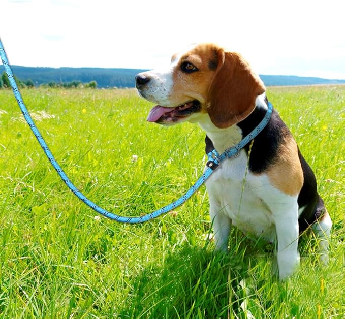 TagME 6ft Slip Dog Lead, No Pull Reflective Training Leash with Padded Handle, Professional Rope P-Leash for Small Medium Large Dogs, Heavy Duty Correction Lead for Walking & Training (Blue)