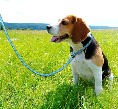 TagME 6ft Slip Dog Lead, No Pull Reflective Training Leash with Padded Handle, Professional Rope P-Leash for Small Medium Large Dogs, Heavy Duty Correction Lead for Walking & Training (Blue)