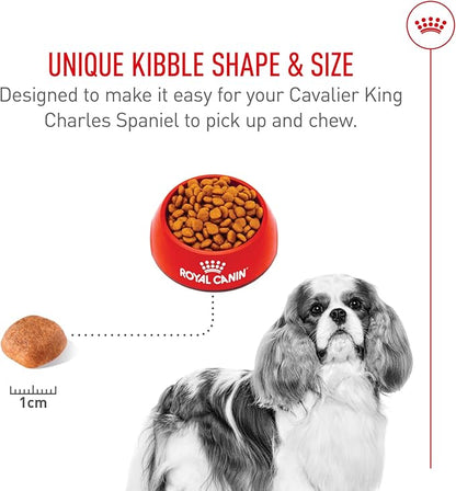 Royal Canin Breed Health Nutrition Cavalier King Charles Spaniel Adult Dry Dog Food, 10 lb Bag