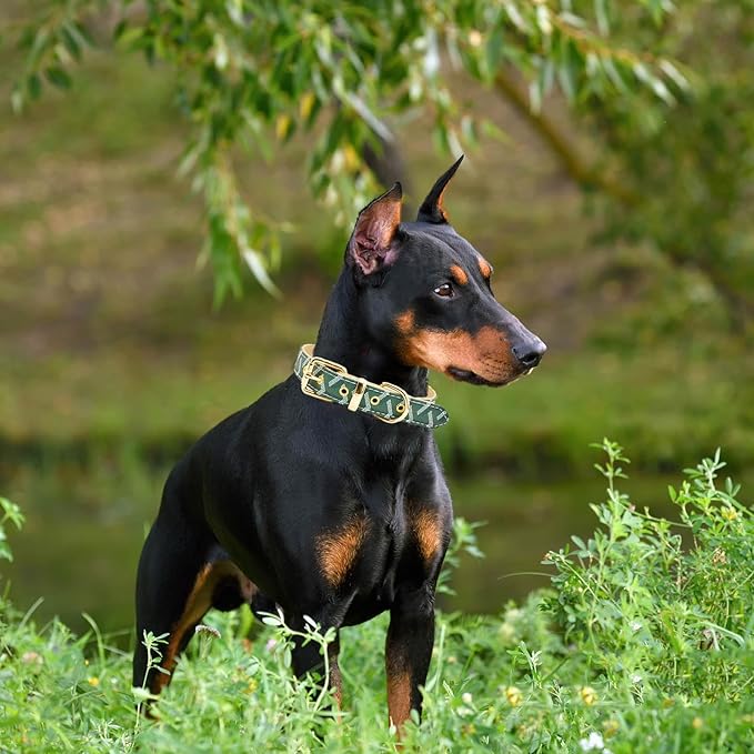 Leather Dog Collar and Leash Set, Check Pattern Dog Collar Leashes Metal Buckle Adjustable Durable for Small Medium Large Dogs (Green, M(11.8-15IN))