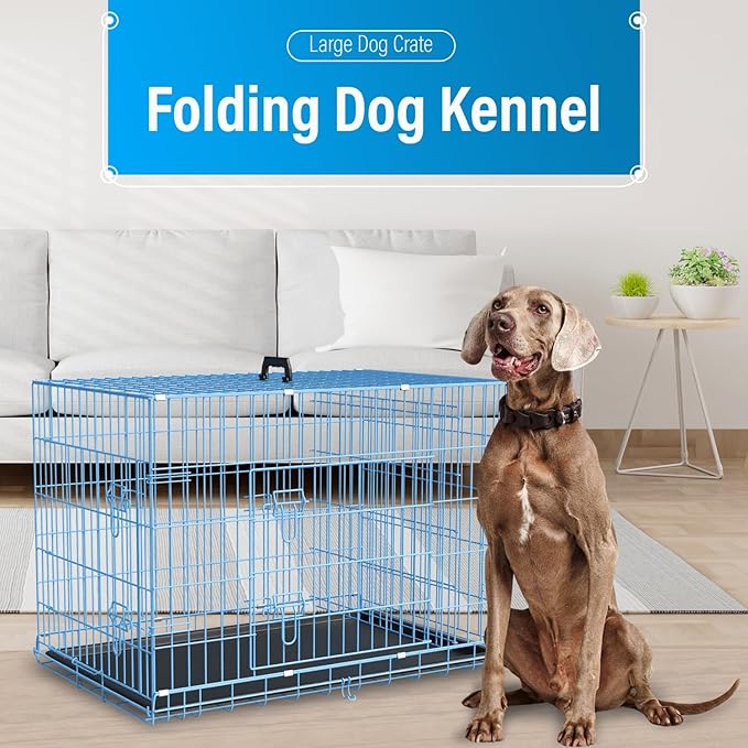Large Dog Crate Kennel Metal Dog Cage for Medium Large Dogs Double-Door Folding Travel Indoor Outdoor Puppy Playpen with Divider and Handle Plastic Tray,42",Blue
