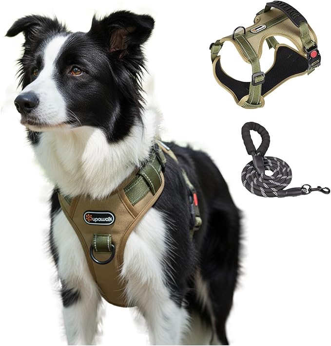 M Size Tactical Dog Harness and Leash Set, No Pull Adjustable Pet Vest with Handle and Reflective Trim, Dual Clip Oxford Training Chest Collar for Medium Dogs Walking Hiking Outdoor Control
