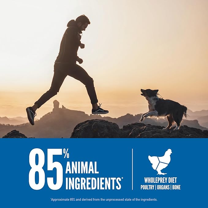 ORIJEN Grain Free High Protein Dry Dog Food Original Recipe 31lb Bag