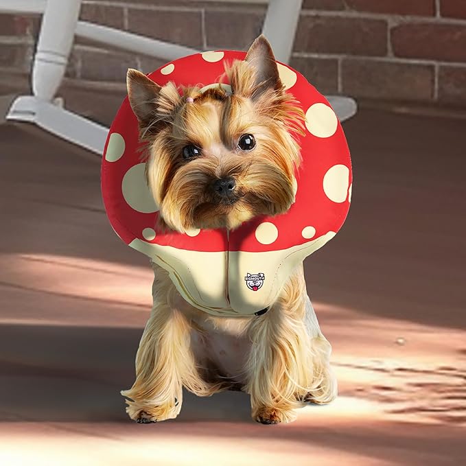 Mushroom Inflatable Dog Recovery Collar, Comfortable Cone Replacement for Pet Surgery, Protective Collars to Prevent Licking & Biting, Size Medium