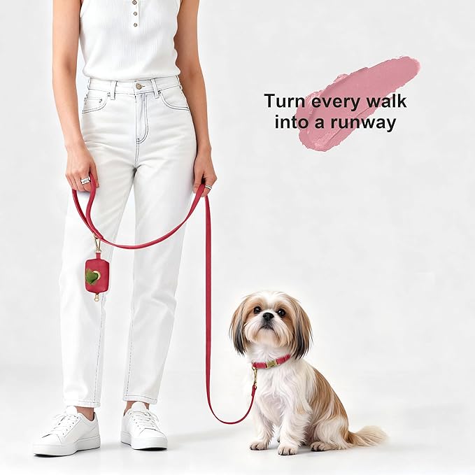 Didog Soft PU Leather Dog Collar, Stylish Quick Released Dog Collars for Small Dogs, Easy Clean Adjustable Pet Collar for Daily Walking, Red, S Fit 10-15" Neck