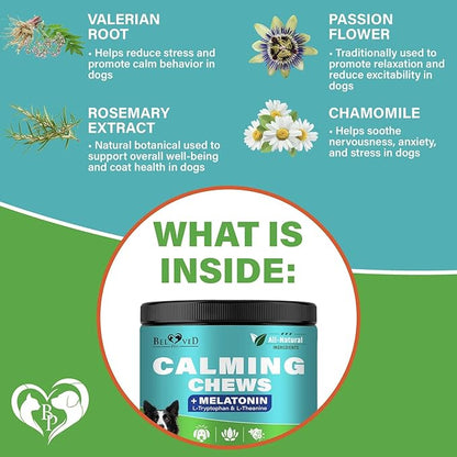 Beloved Pets Calming Chews for Dogs & Puppy - Pet Separation Anxiety Relief Soft Treats & Calm Behavior Aid - Melatonin for Sleep- Anti Stress Treatment Help with Thunder- Made in USA