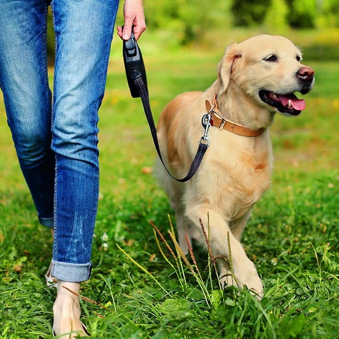 Simple Solution Pee Post Outdoor Dog Training Aid, 13-Inch Pheromone-Infused Stake for Puppy Potty Training, Yard Marking, and Housebreaking, Dog Pee Attractant for Lawn & Garden (Pack of 6)