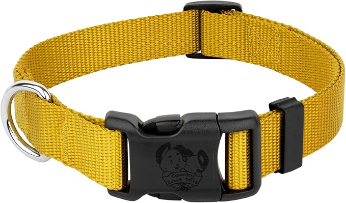 Country Brook Petz - Everyday Nylon Dog Collar for Large, Medium, and Small Dogs and Puppies - for Everyday Use in 10+ Warm Colors (Extra Large, 1 Inch Wide, Gold)