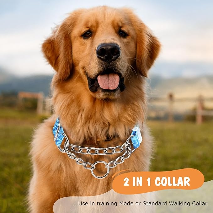 Martingale Dog Collar with Stainless Steel Chain, No Pull Slip Cinch Choker Choke Collar Training Escape Proof Heavy Duty Dog Collar for Medium Large Extra Large Pet Boy Male Dogs, Blue M