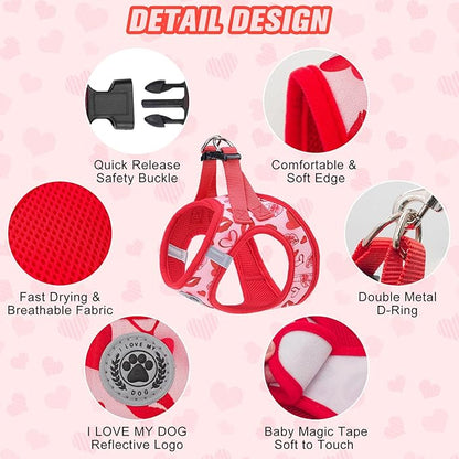 BEAUTYZOO Step in Dog Harness and Leash Set,Reflective Dog Harness No Pull No Choke Puppy Harness for Small Medium Large Dogs Cats,Soft Padded Mesh Vest Harnesses for Girl and Boy,Valentine's Day S