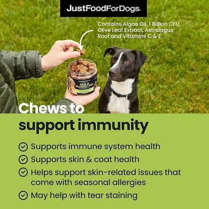 JustFoodForDogs Skin & Allergy Supplement for Dogs, Human Grade Dog Supplements, Skin & Coat Support, Multivitamin Soft Chews, Omega 3 Oil, Superfood Blend, Plant Based Dog Vitamins - 45 Count