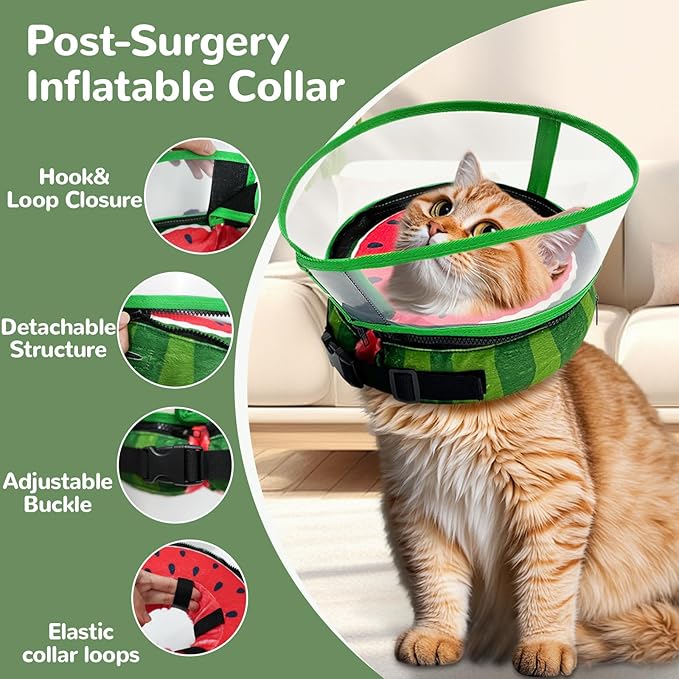 Inflatable Dog Cone Collar with Anti-Licking Clear Shield, Adjustable Elizabethan Collar, Soft Recovery Collar for Dogs, Dog Cones Alternatives for Large Medium Small Dogs & Cats