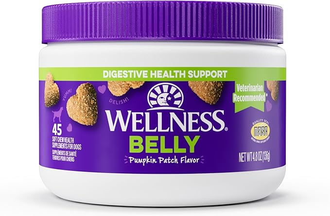Wellness Pumpkin Patch Flavored Soft Chew Digestive Health Supplements for Dogs, 45 Count