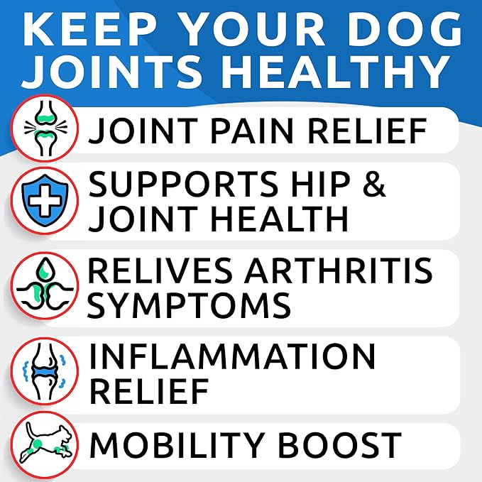 BARK&SPARK Liquid Collagen for Dogs w/Glucosamine (16 OZ) Advanced Mobility Joint Supplement for Dogs - Advanced Formula w/Chondroitin, MSM - Hip & Joint + Skin & Coat Care - Made in USA