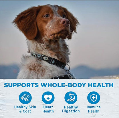Wellness Simple Limited Ingredient Diet Adult Dry Dog Food, Wholesome Grain Kibble, Sensitive Stomach, Skin & Coat Support, Natural, Chicken Free, Lamb and Oatmeal Recipe, 40 lb Bag