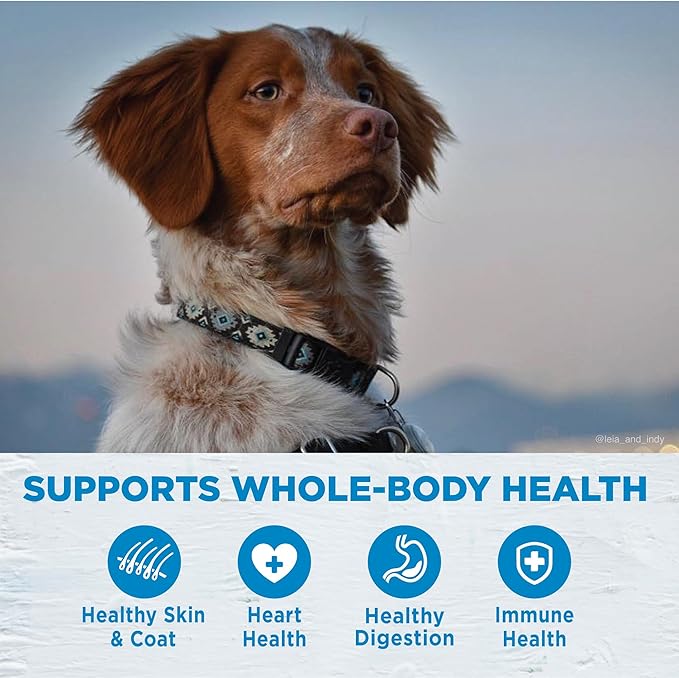 Wellness Simple Limited Ingredient Adult Dry Dog Food, Grain Free Kibble, Sensitive Stomach, Skin & Coat Support, Natural, Chicken Free, Turkey and Potato Recipe, 26 lb Bag