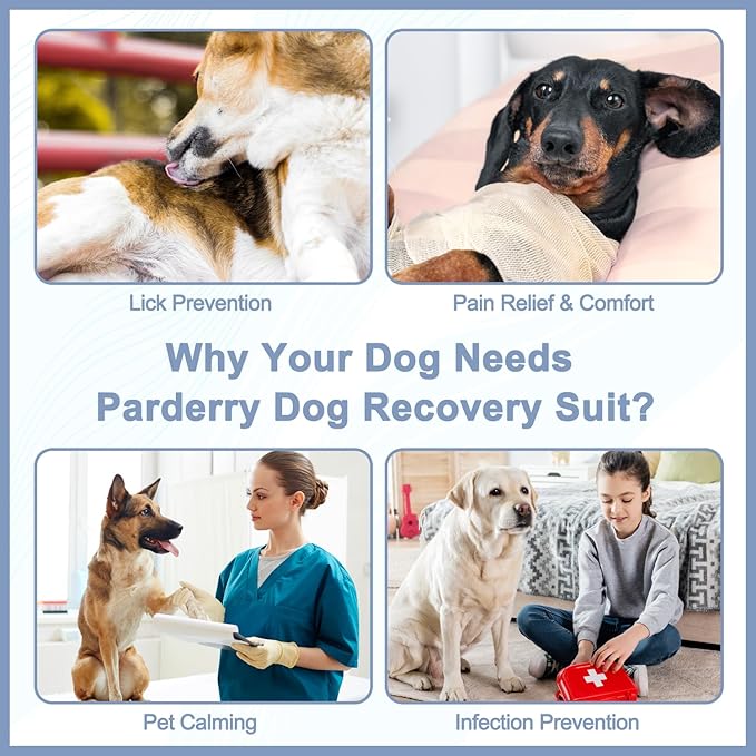2 Packs Dog Recovery Suit for Surgery Dog Onesie Surgical Clothes Bodysuit for Male and Female Substitute E-Collar& Cone