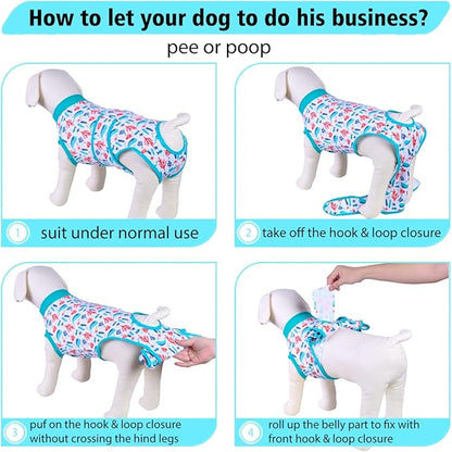 PetWarm Post Neuter Surgery Suit for Dogs Male, Recovery Suit for Dogs After Surgery, Cone E-Collar Alternative, Pet Surgical Recovery Suit, Underwater World Pattern, Blue, 2XL