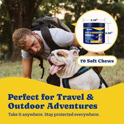 Probiotics for Dogs - Dog Probiotics for Digestive Health, Yeast, Itchy Skin, Gut Health, Immune & Skin - 6 Billion CFUs, 70 Soft Chews, Duck & Pear Flavor - with Prebiotics & Digestive Enzymes