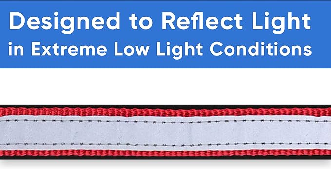 Pawtitas Lumberjack Padded Martingale Collar for Dogs | Soft Neoprene Dog Collar for Your pet's Comfort Made with Reflective Band for Maximum Visibility | Fits Small and Large Pets - XS Red