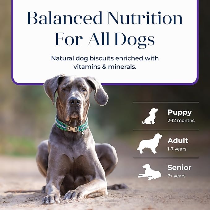 Blue Buffalo Basics Dog Biscuits, Skin & Stomach Care Crunchy Dog Treats, Turkey Recipe, 6-oz Bag