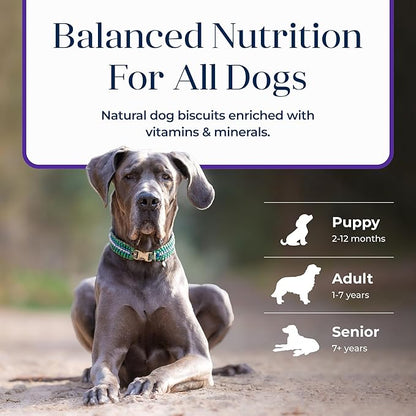 Blue Buffalo Basics Dog Biscuits, Skin & Stomach Care Crunchy Dog Treats, Turkey Recipe, 6-oz Bag