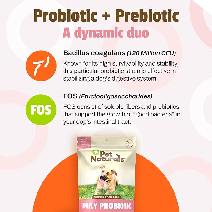 Pet Naturals Daily Probiotic for Dogs,Duck Flavor,160 Chews - 120M CFUs Pre and Probiotics for Dogs Digestive Health,Gut Health,Immune Support,Diarrhea,Allergies and Itching,(Pack of 2)