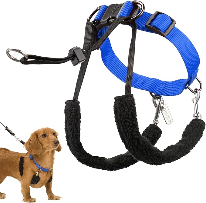 Sporn Original Dog Halter, No Pull Dog Harness, Durable Nylon Collar with Padded Restraint Sleeves for Small Breeds, No Choke Design, Adjustable Fit, Easy On/Off, Blue, Small
