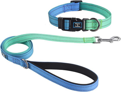 Roses&Poetry Bluegreen Large Dog Collar and Leash Set, Puppy Reflective Leashes with Collars, Adjustable Durable Matching Collar Leash for Large Dogs Girl (Bluegreen-L)