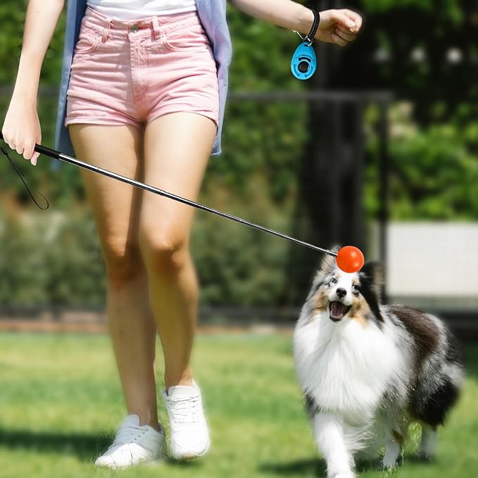 Training Kit - 1 Target Stick, 1 Training Clicker, 1 Whistle - Dog Training Equipment Tools, Cat Toilet Trainer Kit, Agility Training Lure Course For Dogs, Kitten Puppy Behavior Aids Trick (B Type)