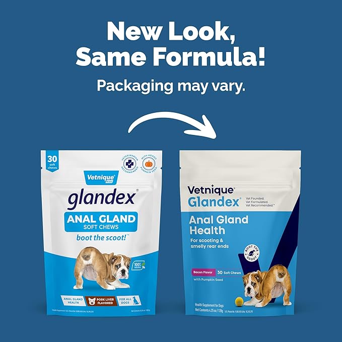 Vetnique Glandex Anal Gland Soft Chew Treats with Pumpkin for Dogs Digestive Enzymes, Probiotics Fiber Supplement for Dogs Boot The Scoot (Bacon Flavor Chews, 30 Count) (Pack of 2)