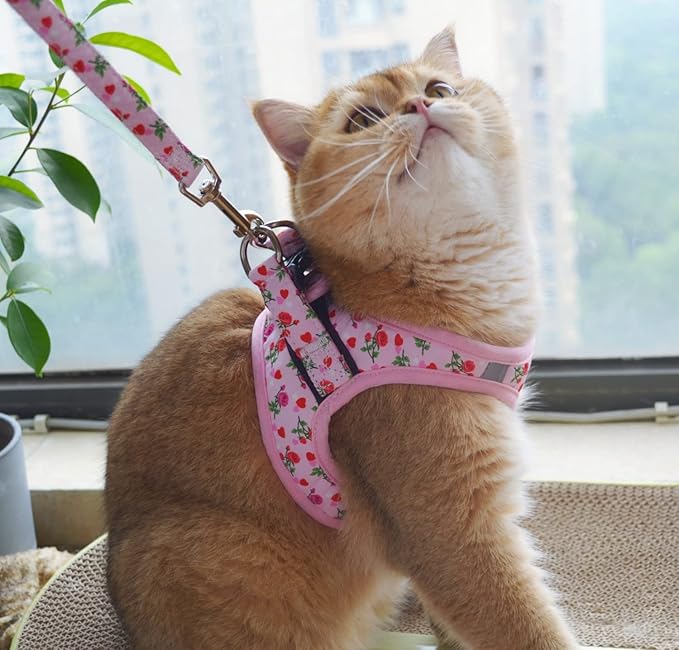 Moonpet Step in Valentine's Day Dog Harness Leash Set- All Weather Reflective No-Pull Floral Pattern Padded Mesh Vest Harness for Cats Puppy Extra-Small Small Medium Large Dogs - Heart Rose - XXS