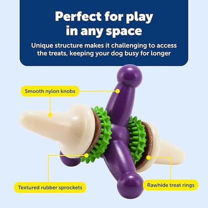 PetSafe Busy Buddy Jack - Keeps Dog Busy - Includes Treats Refill - Treat Holding Dog Toy - Helps Clean Teeth - Durable Rubber - Strong Chewers - Dishwasher Safe - Medium - Purple