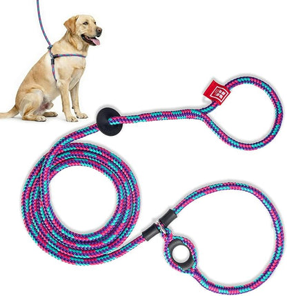 Harness Lead No Pull Dog Harness and Leash Set, Anti Pull Dog Harness, One-Piece Cushioned Rope Safely Prevents Escaping and Pulling (Medium/Large, Reef)