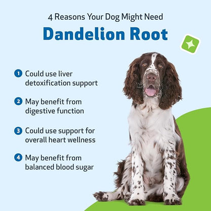 Pet Wellbeing Dandelion Root for Dogs - Liver & Heart Health, Digestive Function, Blood Sugar Support, Certified Organic - Veterinarian-Formulated Herbal Supplement 2 oz (59 ml)
