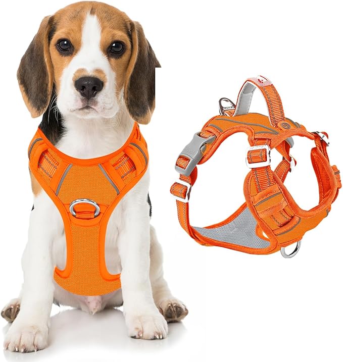 BARKBAY Dog Harness No Pull Oxford with ID Tag Pocket - Heavy Duty, Reflective, Easy Control for Large Dogs(Pumpkin Oxford,M)